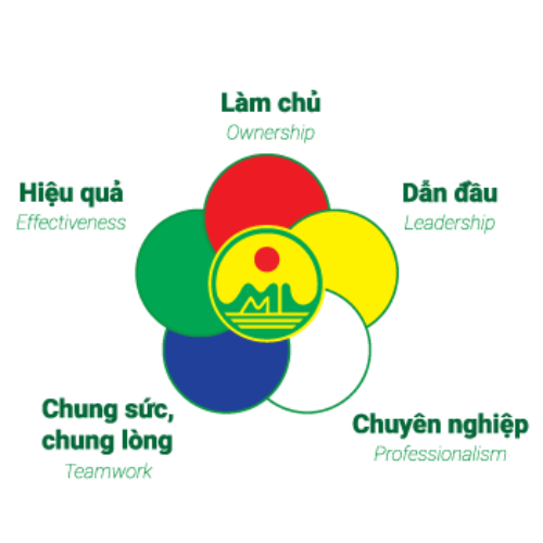 Giá trị cốt lõi